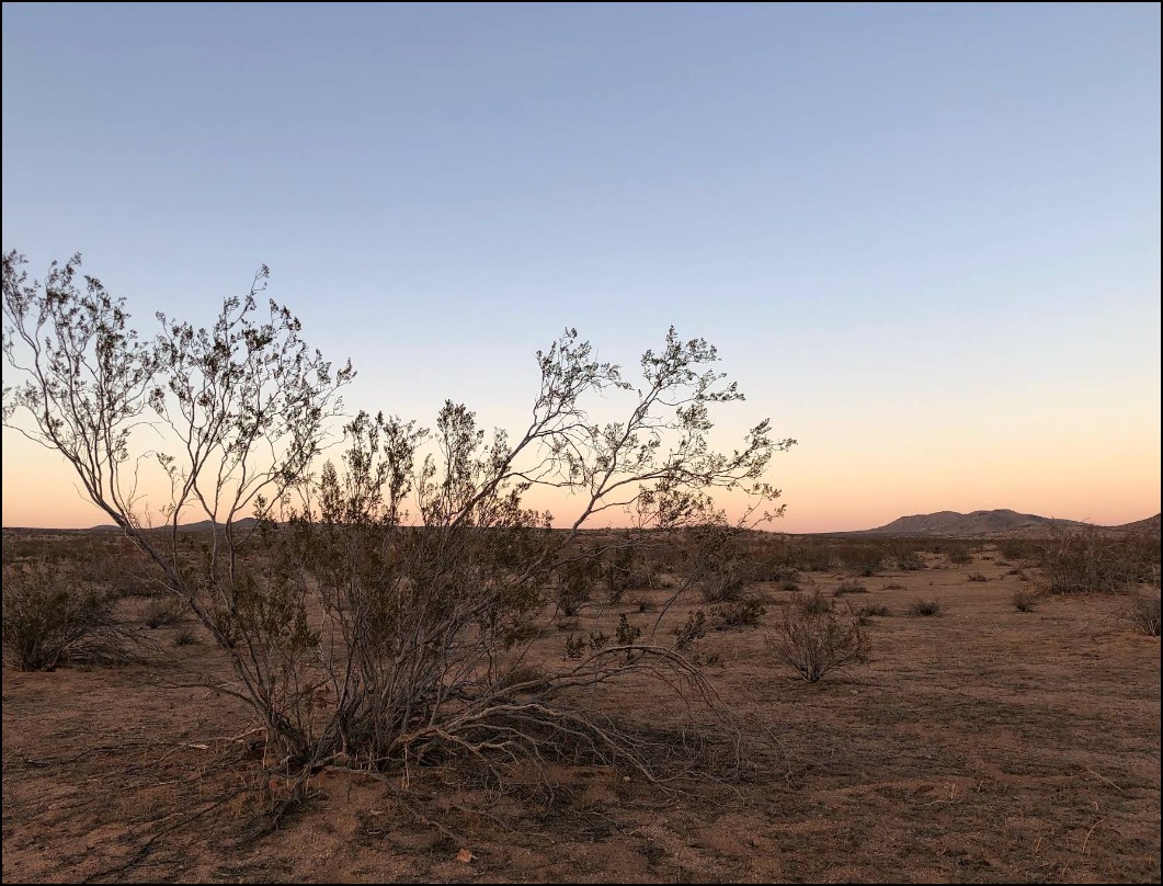 Southern California Kern County 22 Acre Easy Access Property! Great Investment and Loaded with Natural Amenities and Local Recreation! Low Monthly Payments! - Image 4