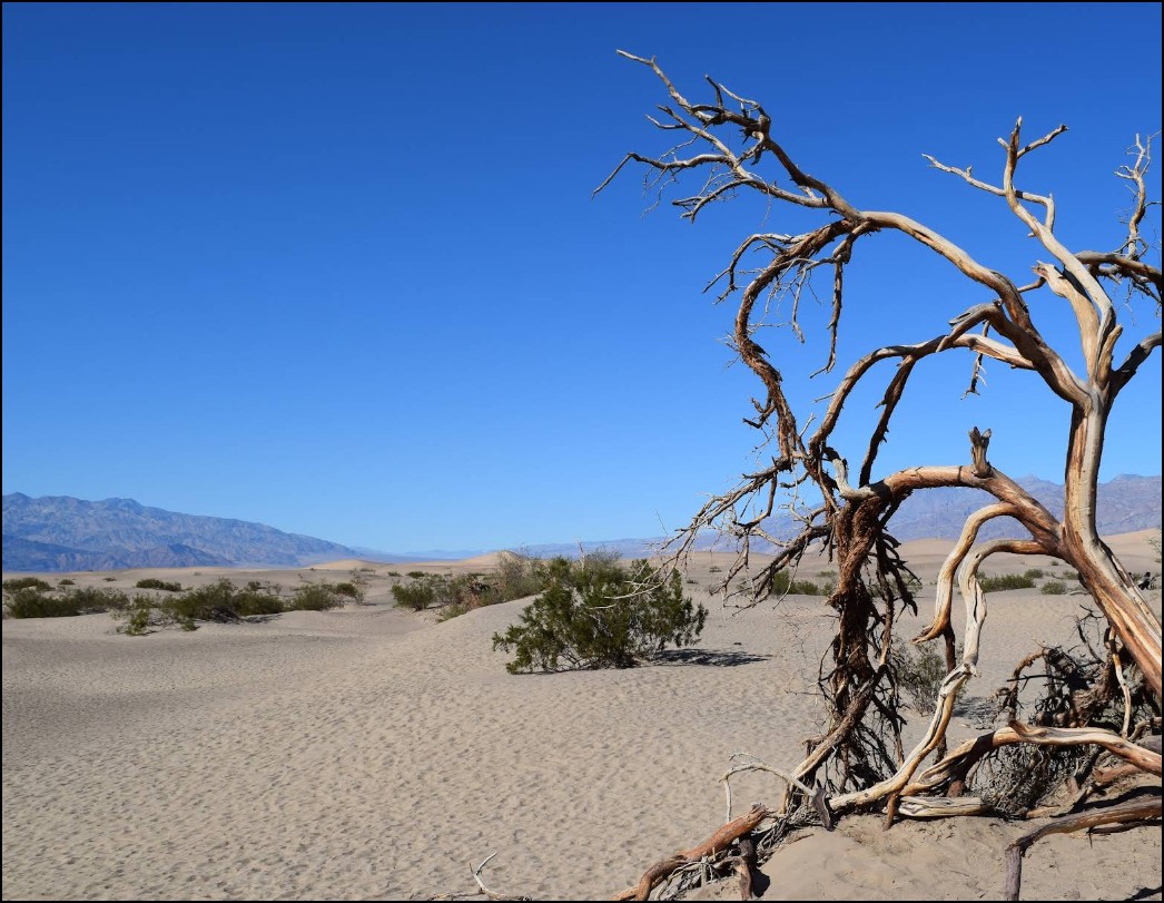 Southern California Kern County 2.5 Acre Property in Rosamond! Superb Investment in Nice Town Loaded with Local Amenities! Low Monthly Payments! - Image 7