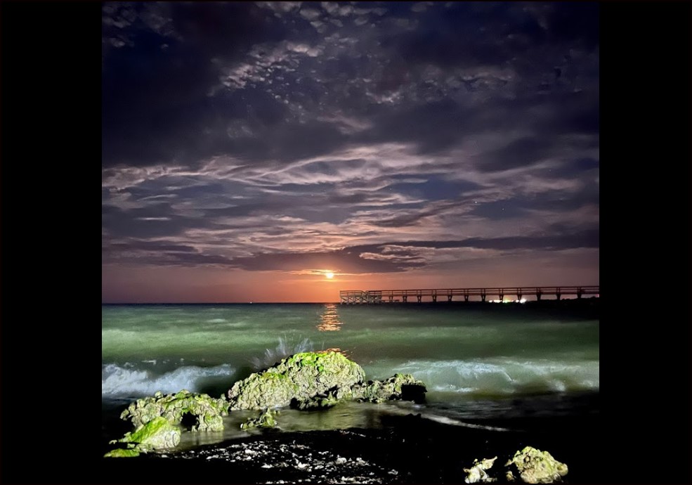Interior Alamo Beach Parcel in Calhoun County Near Quiet Coastline - Image 3