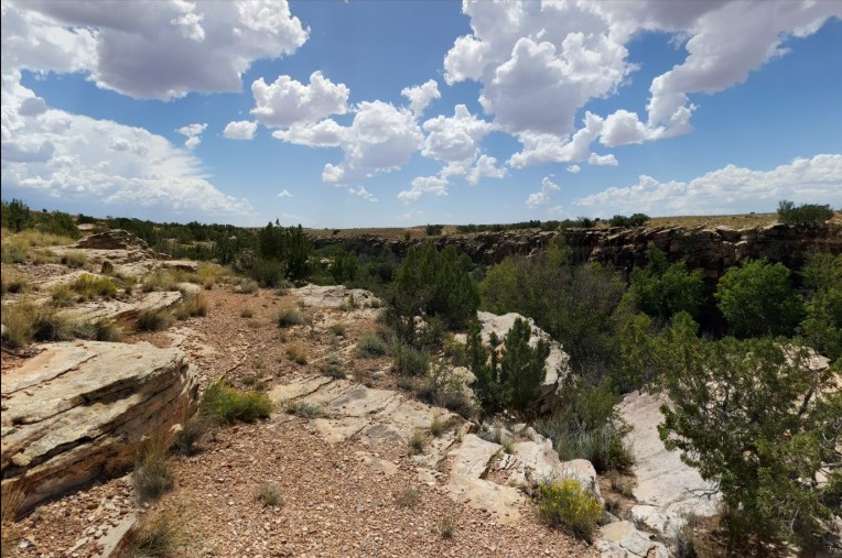 Saturday Rare Selection | Win Land, Jewelry, Gemstones & More - Image 3