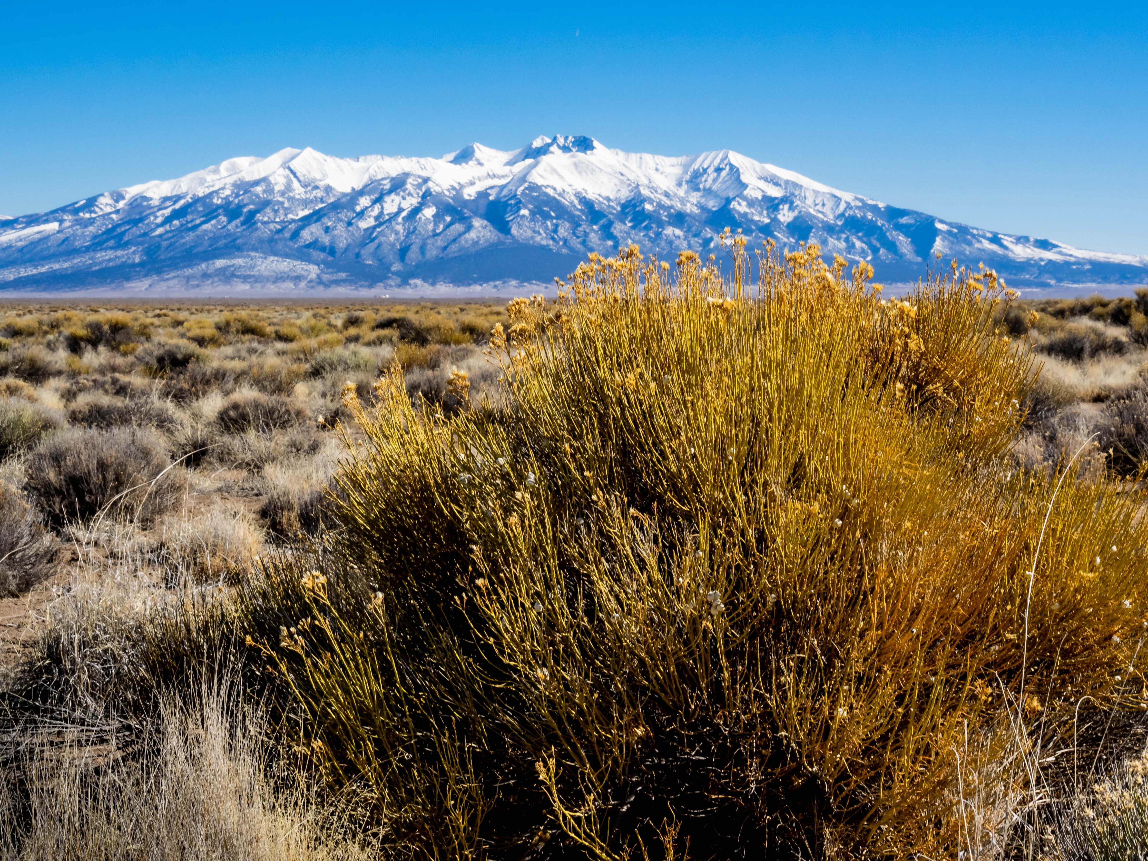 Great Sand Dunes Access with 4.78 Acres in San Luis Valley Ranches in Costilla County - Image 2