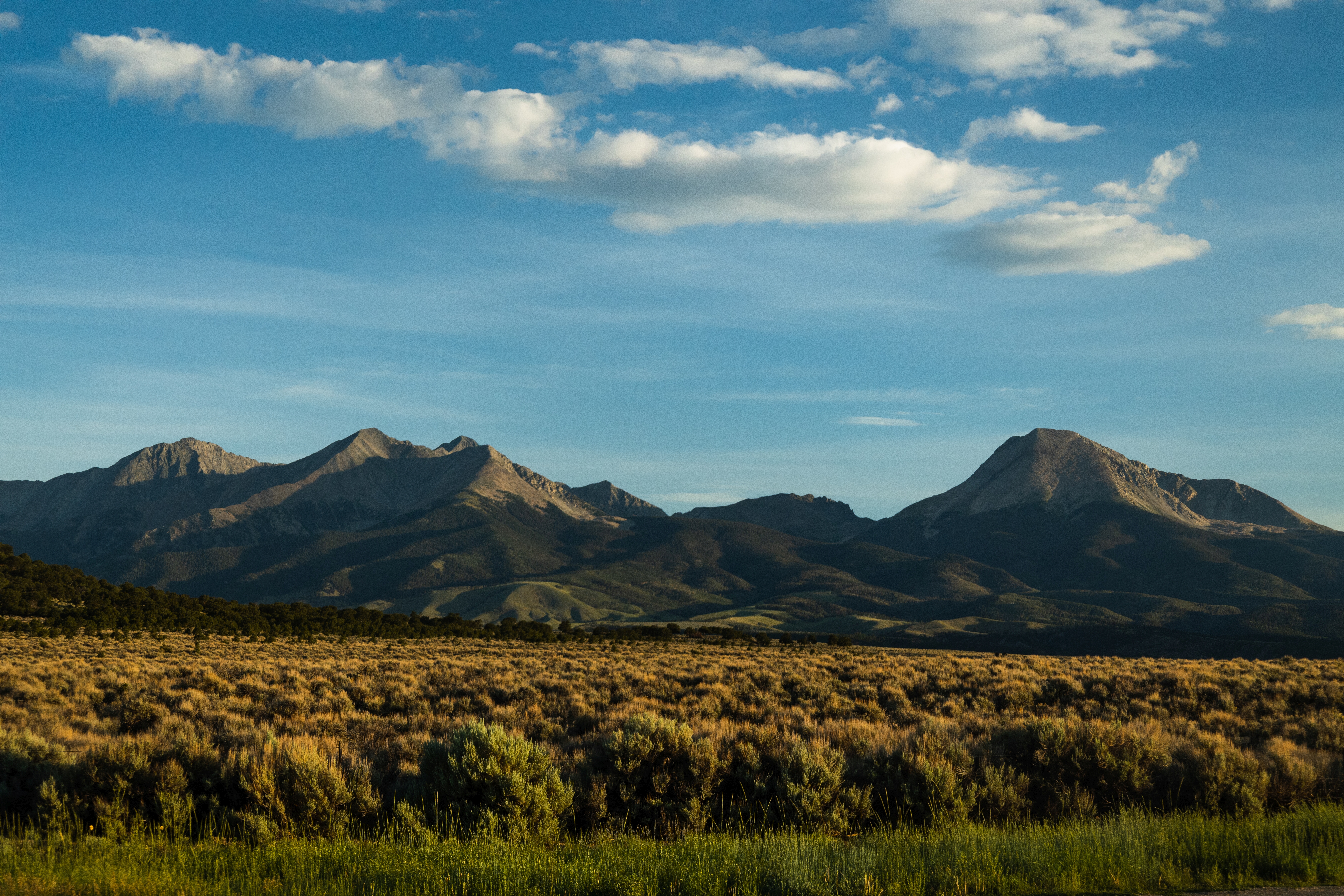 5 Acres in Rio Grande Ranchos in Costilla County Near the New Mexico Border - Image 3