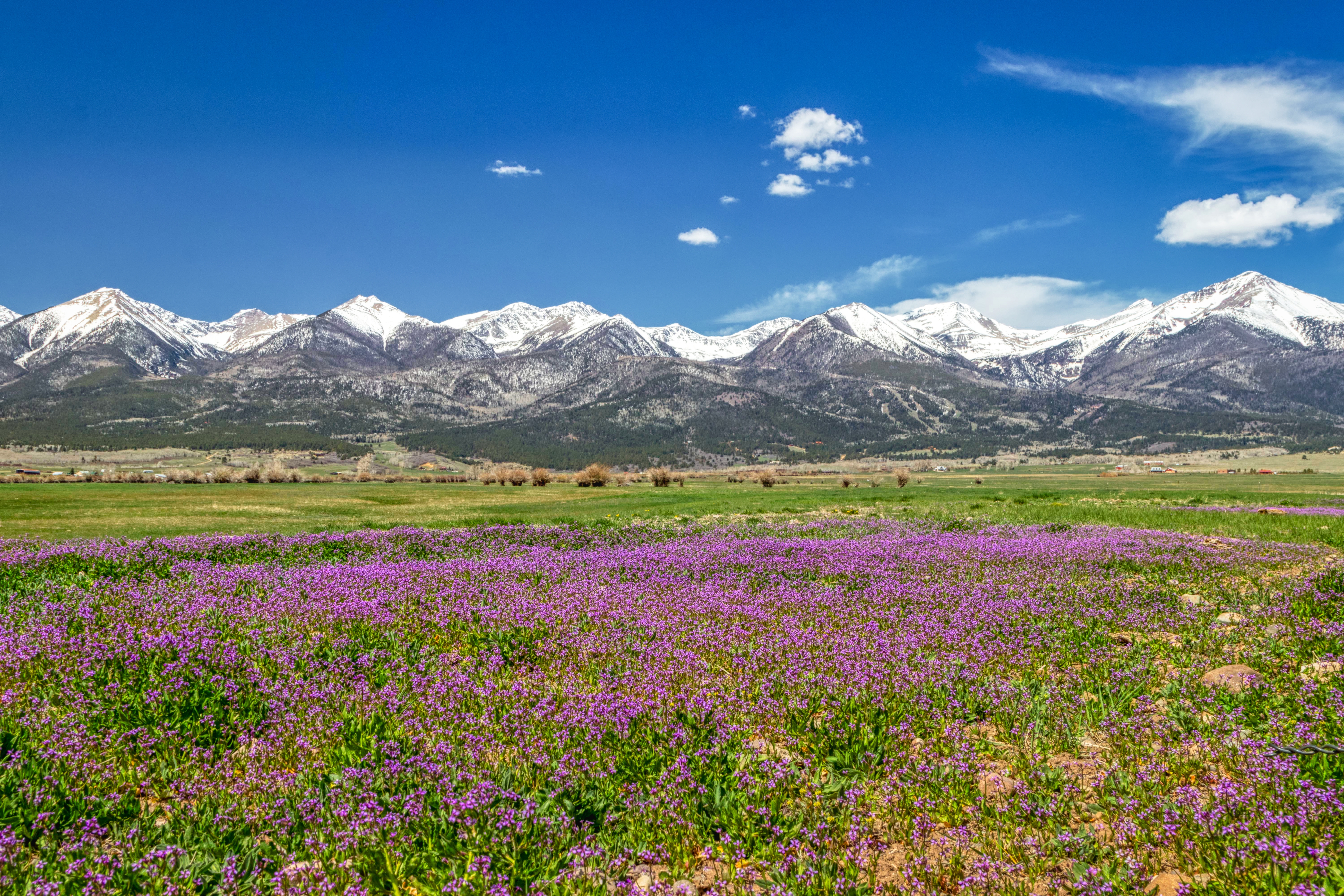 5 Acres in Rio Grande Ranchos with Recreation Nearby in Costilla County - Image 4