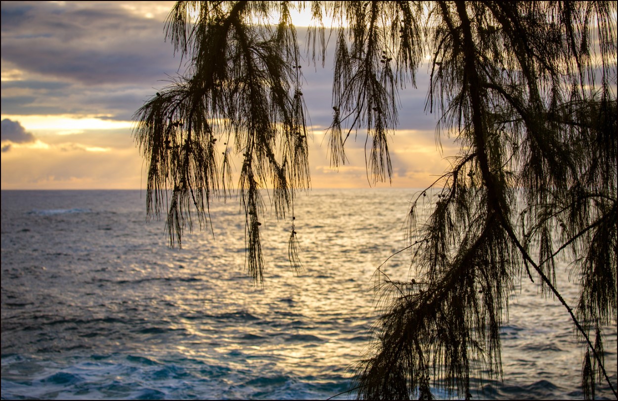Hawaii County Homesite in Nanawale Estates Close to Pahoa and the East Hawaii Coast