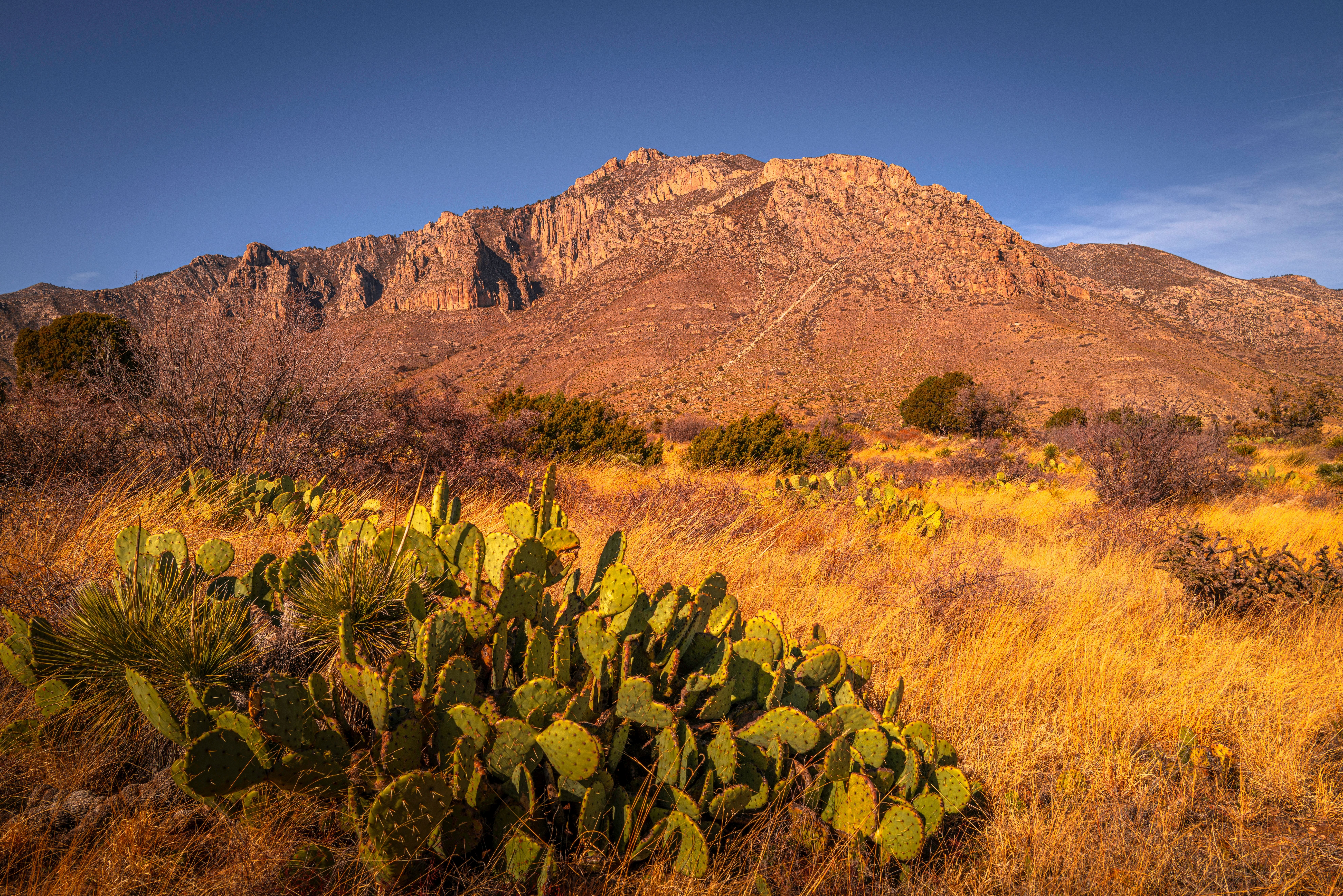 {"ops":[{"insert":"640 Acres in Hudspeth County Near Sierra Blanca with Wide Open Desert Country"},{"attributes":{"table":"1"},"insert":"n"},{"insert":"n"}]}
