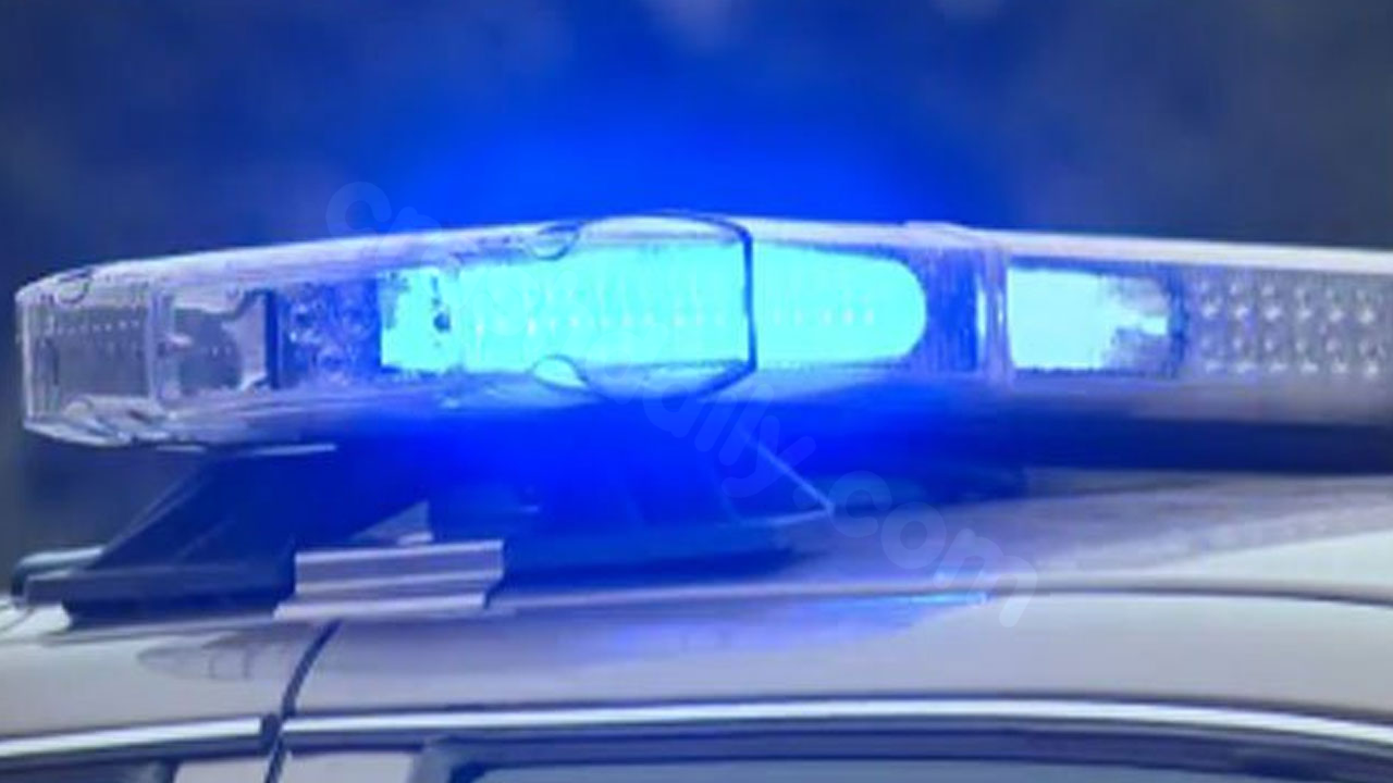 Pedestrian dead after being struck by vehicle on Savannah Highway near Skylark Drive