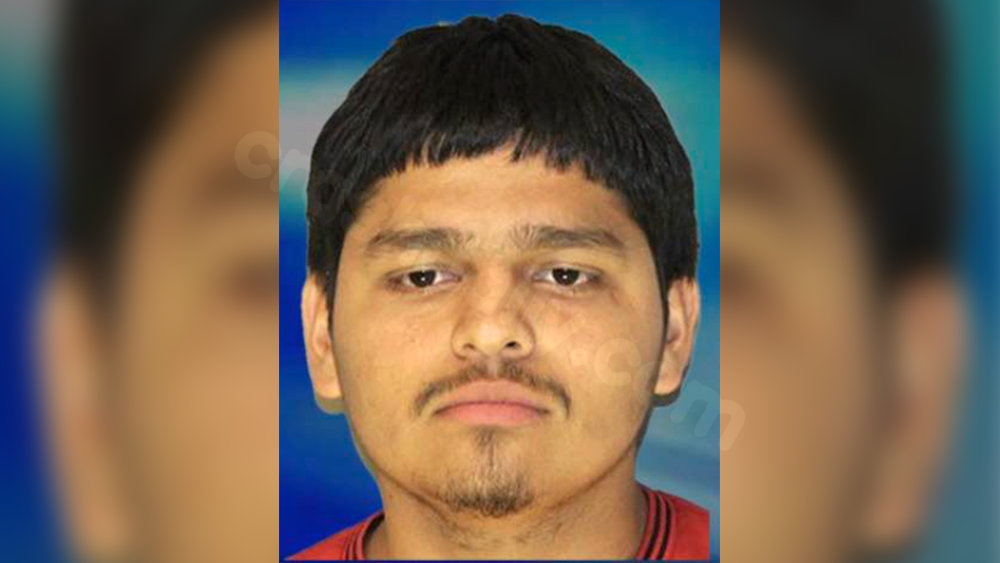 Georgia man jailed following deadly crash that killed passenger