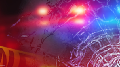 Arrest made in deadly accident on Interstate 310