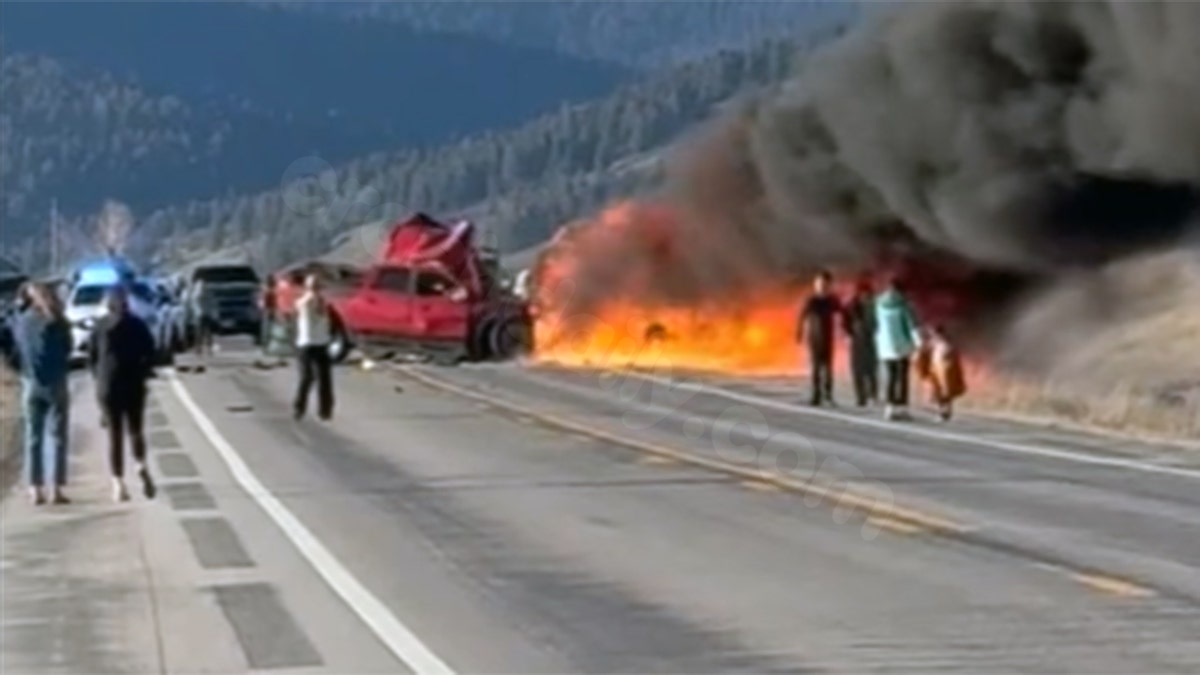 Fatal tour van accident near Yellowstone Park kills 7, authorities report