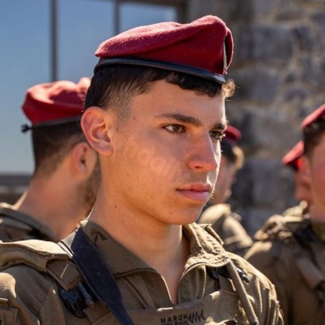 Israeli soldier dies in car crash during mission in Golan Heights