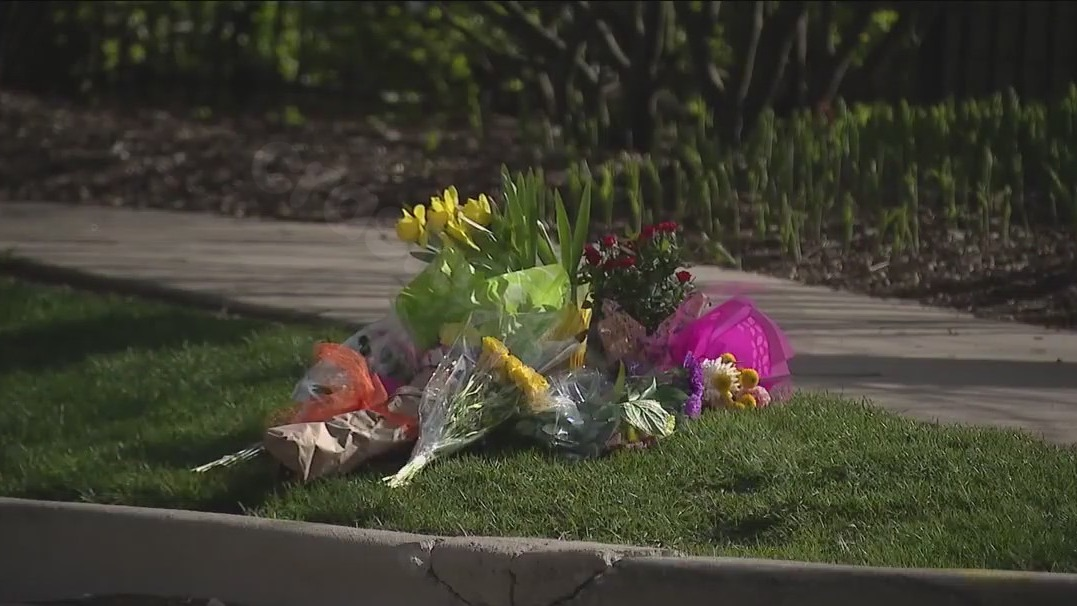 Identifying victims: 2 women struck and killed in Cook County accident