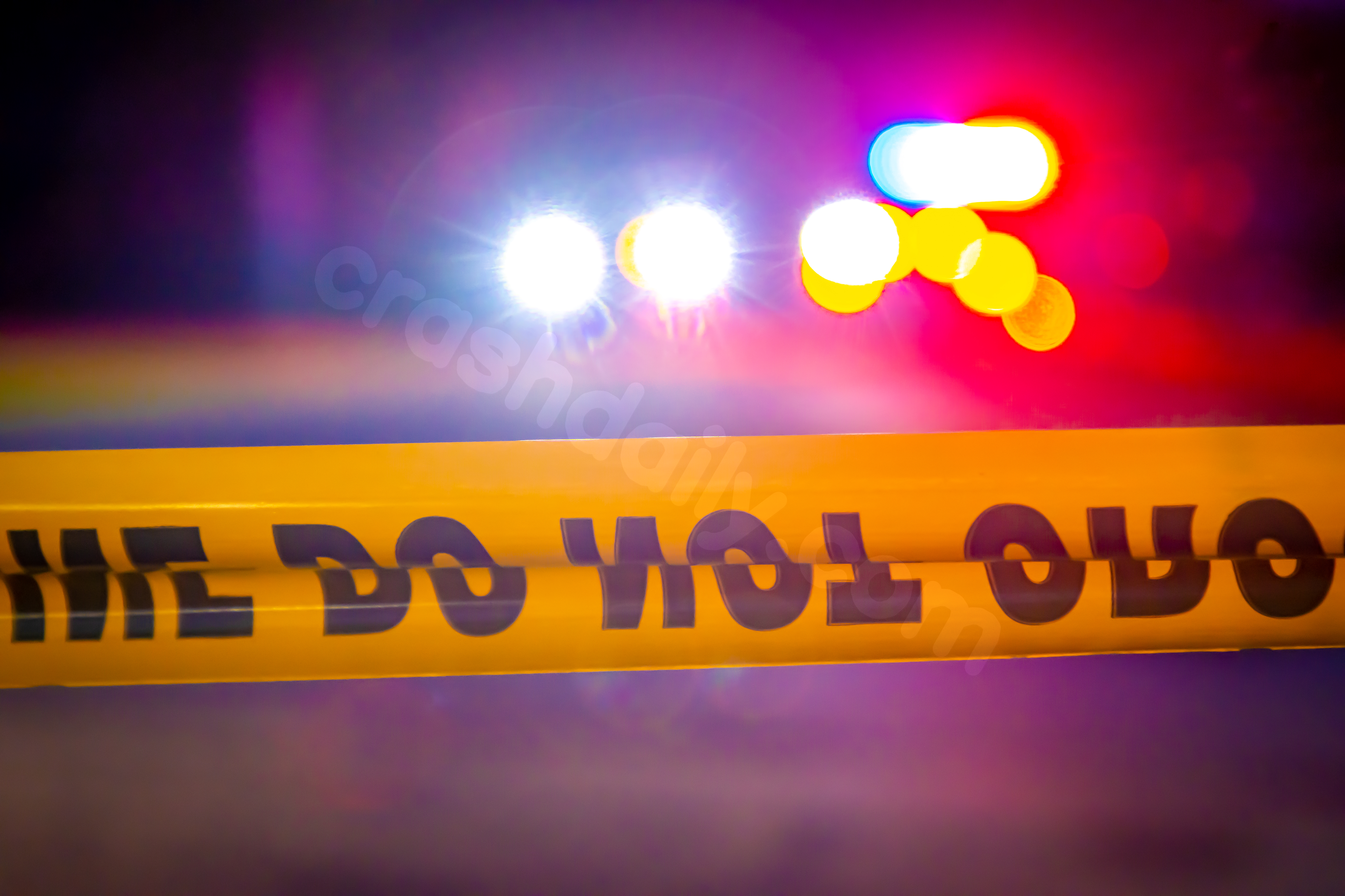 Nevada judge releases driver involved in fatal crash near Las Vegas