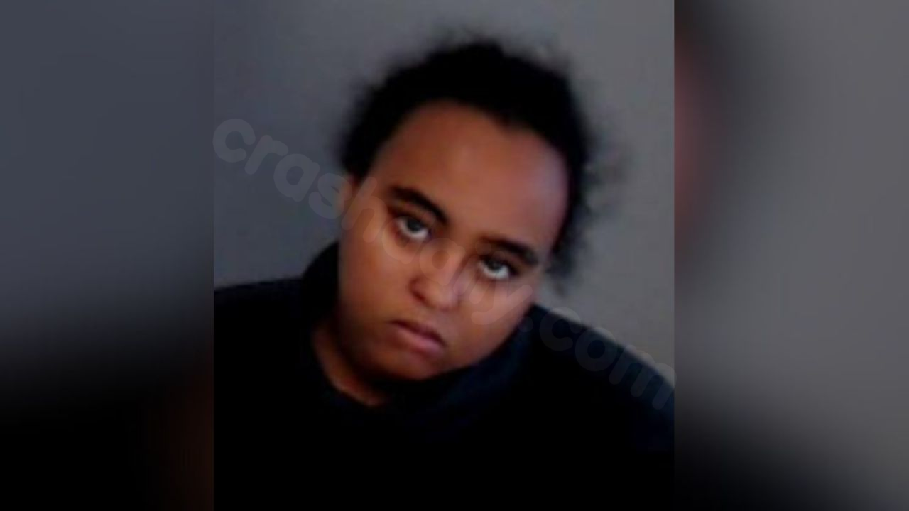 Driver charged in fatal L5P crash denied bond