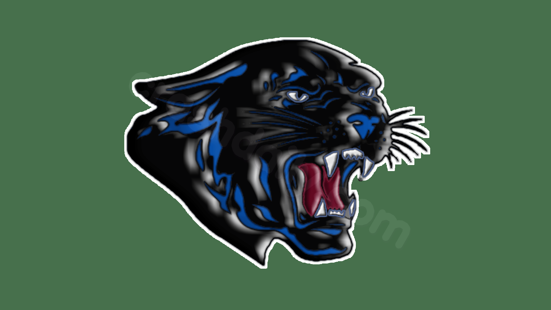 Fort Stockton ISD senior dies in car crash