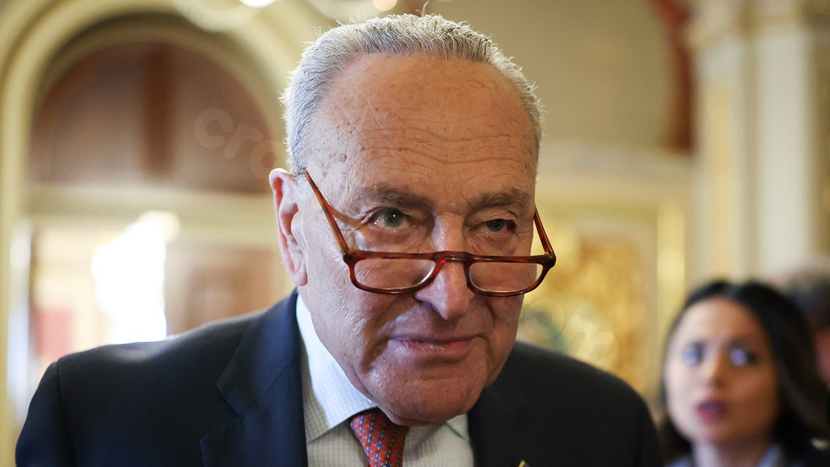 Coast Guard rejects Schumer's claim that DOGE contributed to fatal Brooklyn Bridge crash