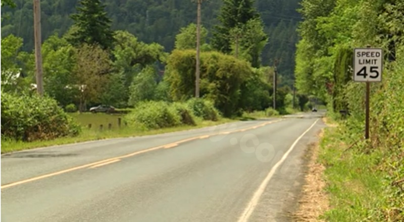 Teen arrested after Sauvie Island crash leaves one dead