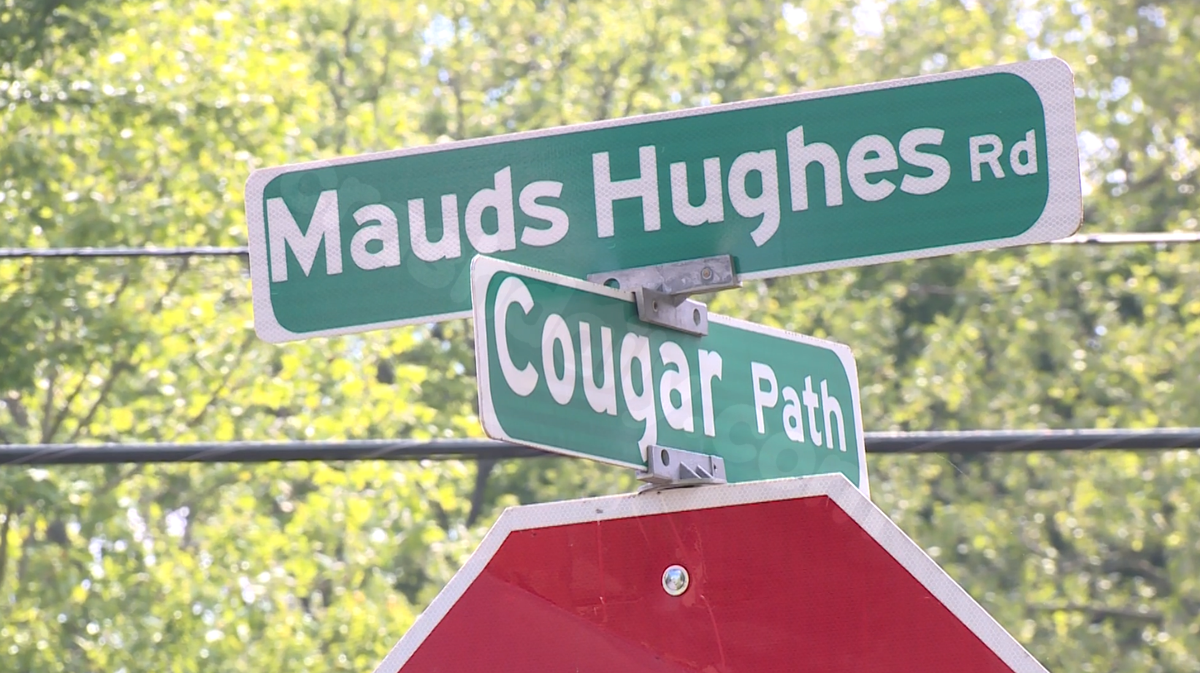 Coroner IDs 17-year-old Lakota student killed in head-on Liberty Township crash