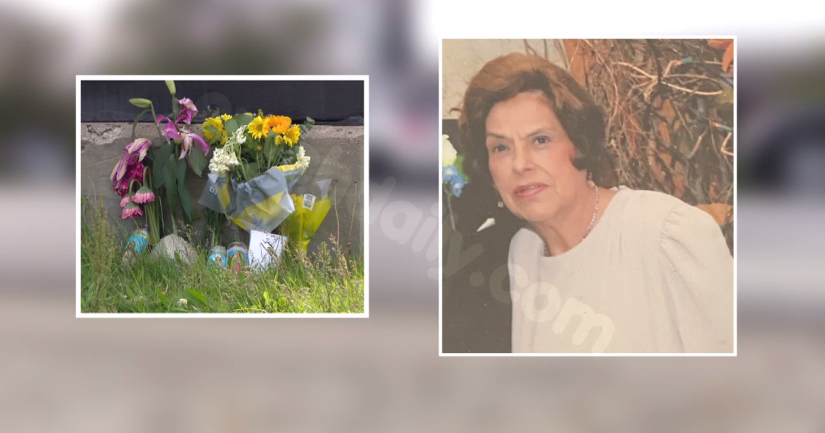 Family demands justice after woman, 84, was hit, killed in wreck on Chicago's Southwest Side