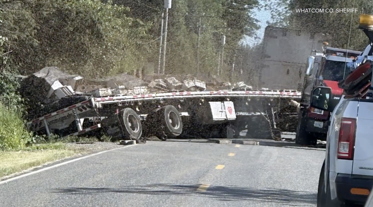 Beekeepers unite to save bees after accident