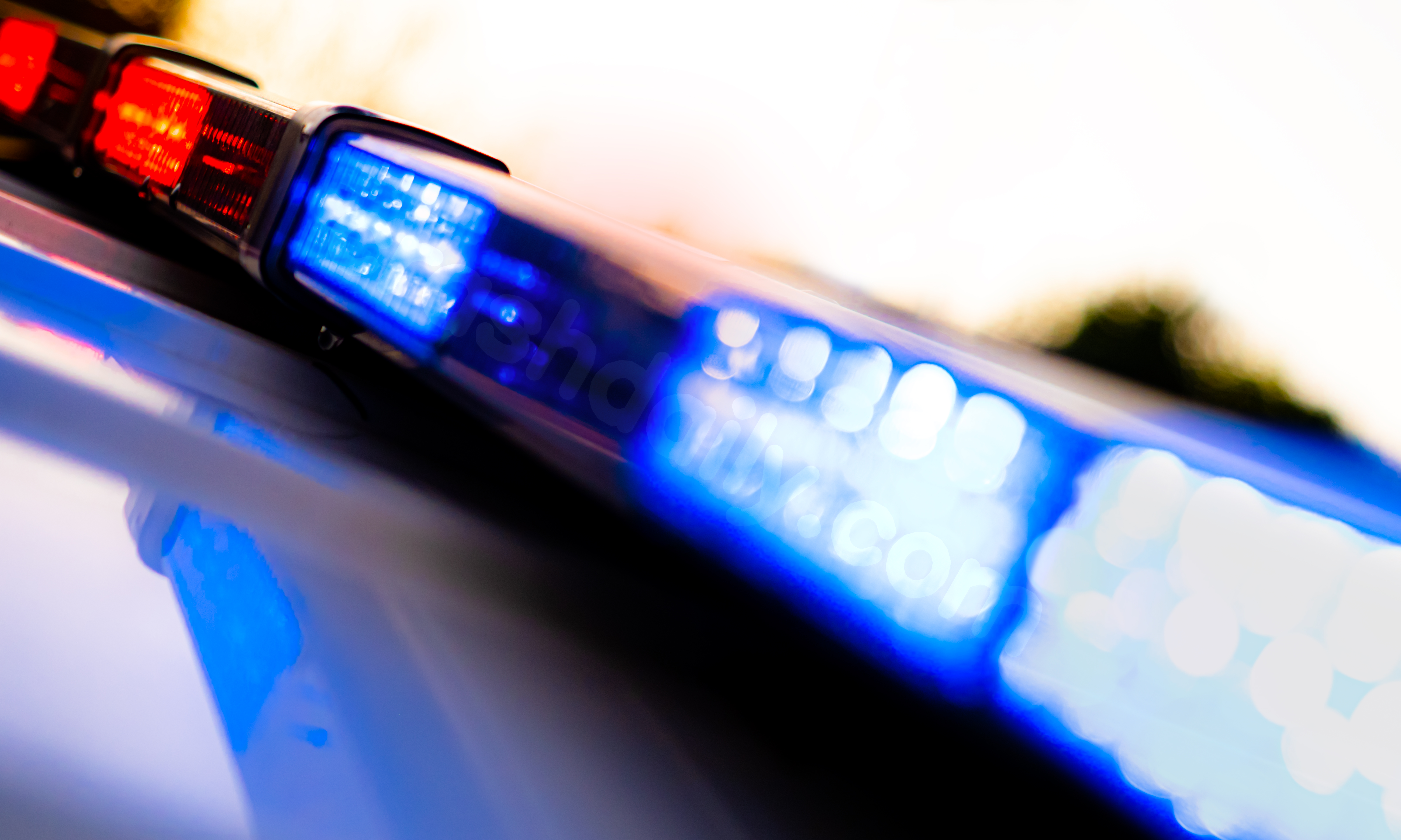 Pedestrian fatally struck by suspected drunk driver in Belleville