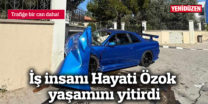 Bir can daha trafiğe!