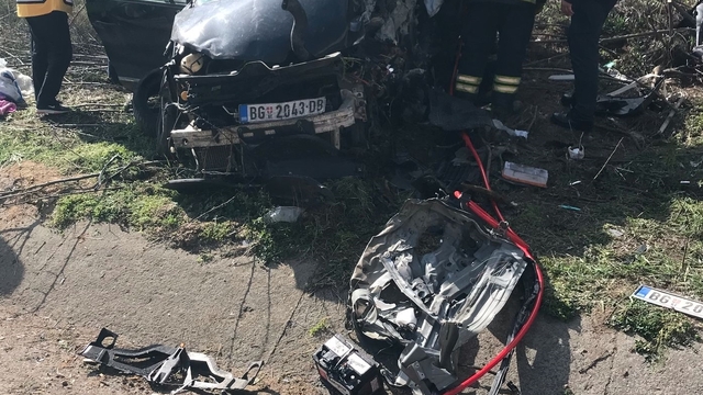 Trafik kazasında Sırp dansçı hayatını kaybetti, 3 kişi de yaralandı.