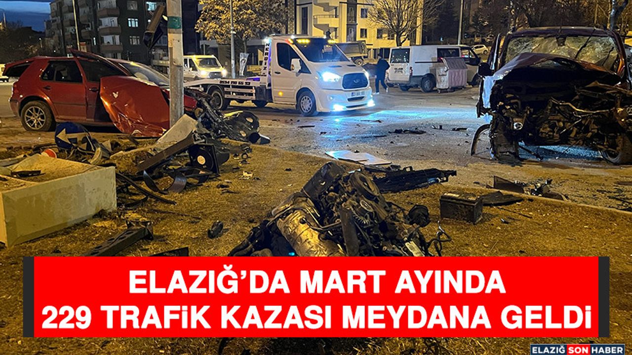 Martta Elazığ'da 229 kaza yaşandı.