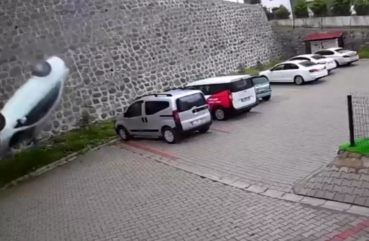 Ordu'da kaza sonucu şoför hayatını kaybetti.