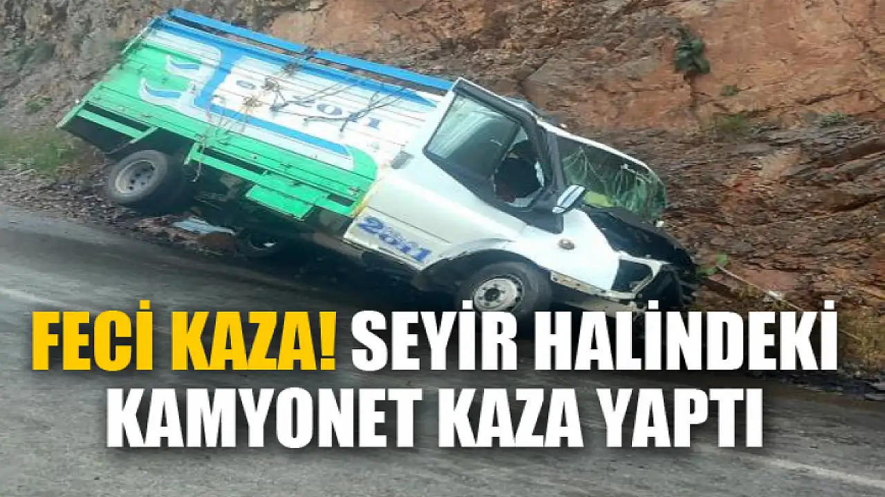 Kamyonet seyir halindeyken feci bir kaza geçirdi.