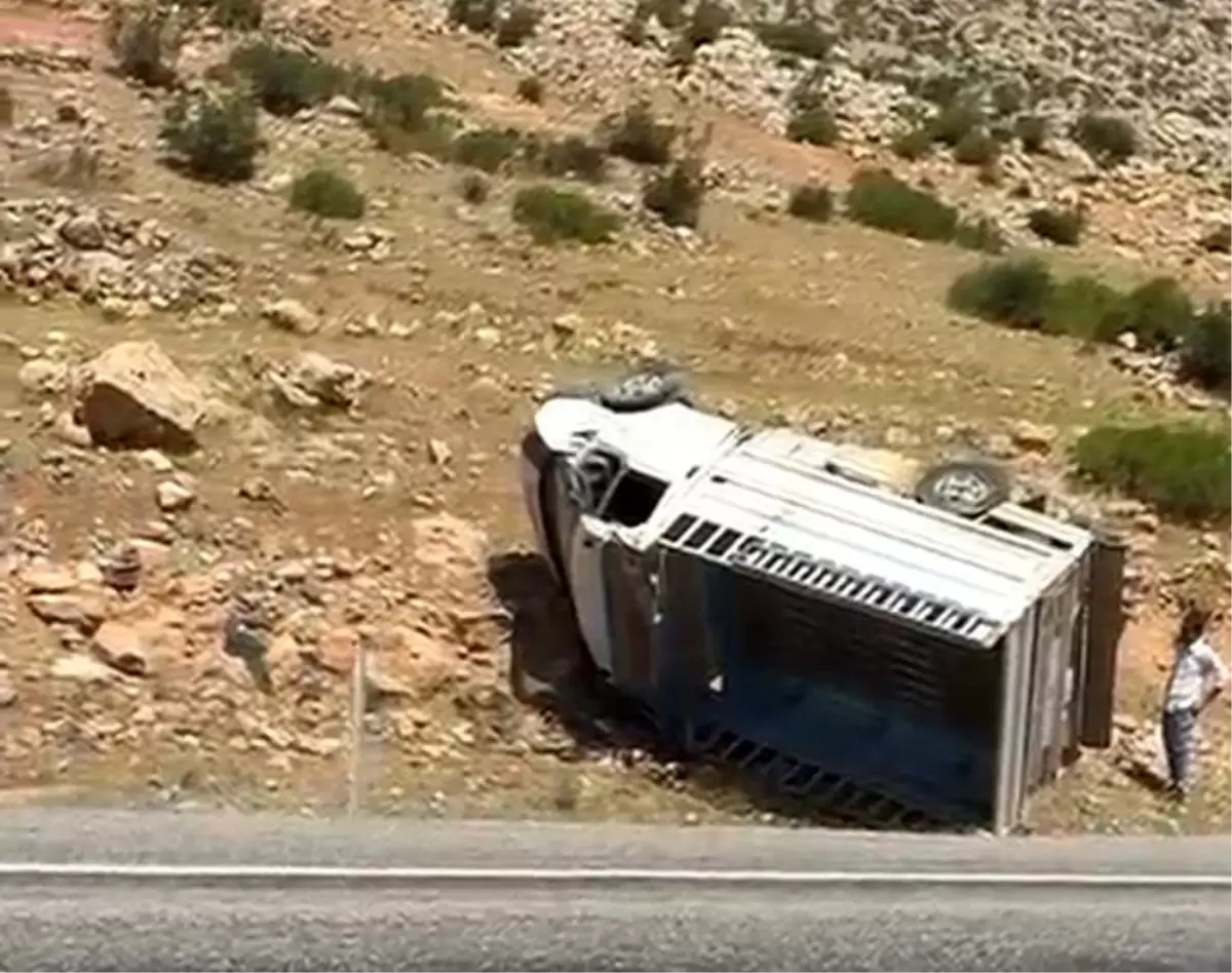 Batman-Hasankeyf Yolunda Trafik Kazası: 2 Yaralı