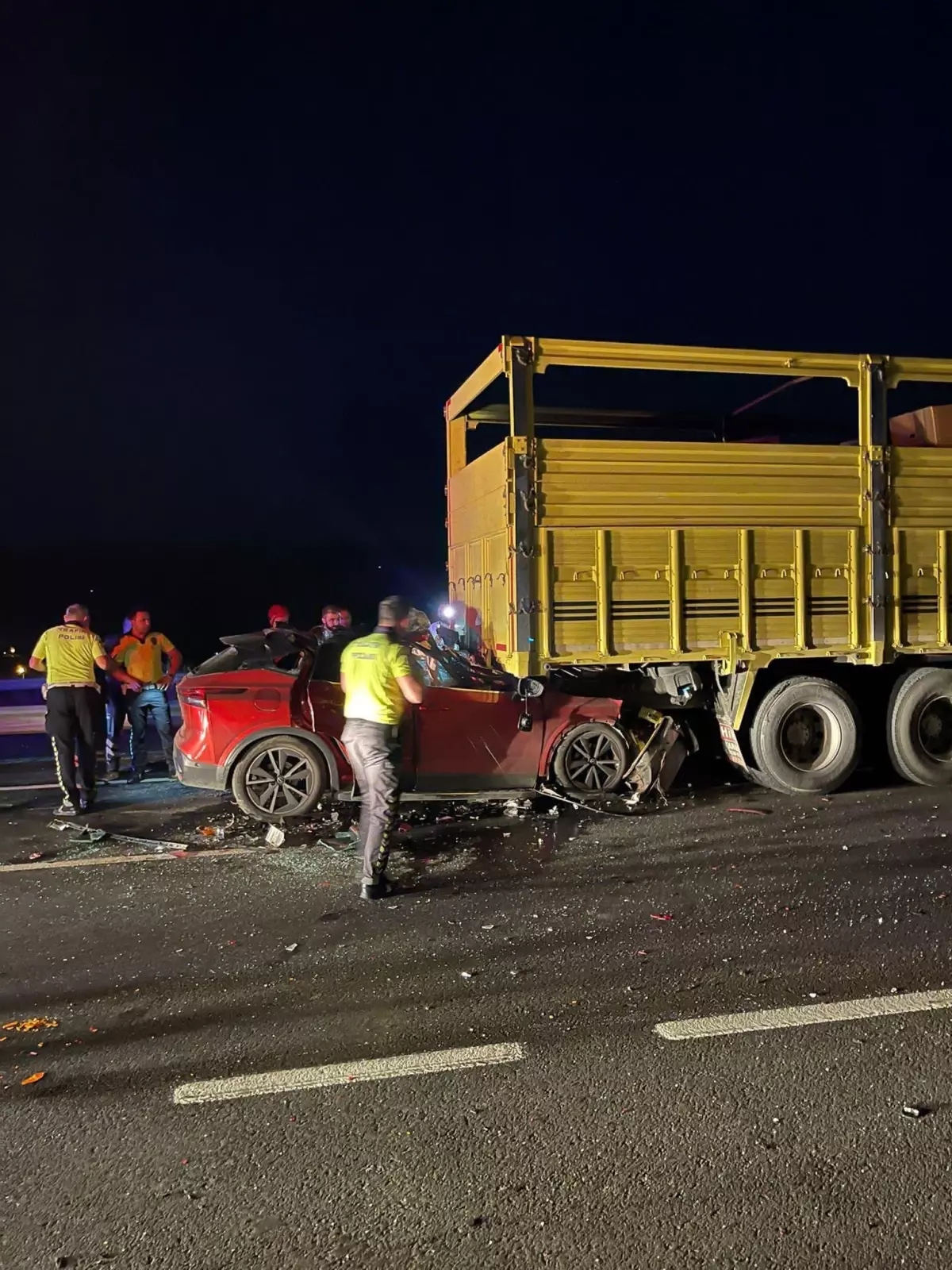 Pamukova'da Trafik Kazasında Sürücü Öldü.