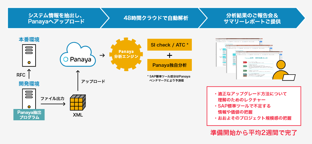 Panaya無償分析（サイジングラン）