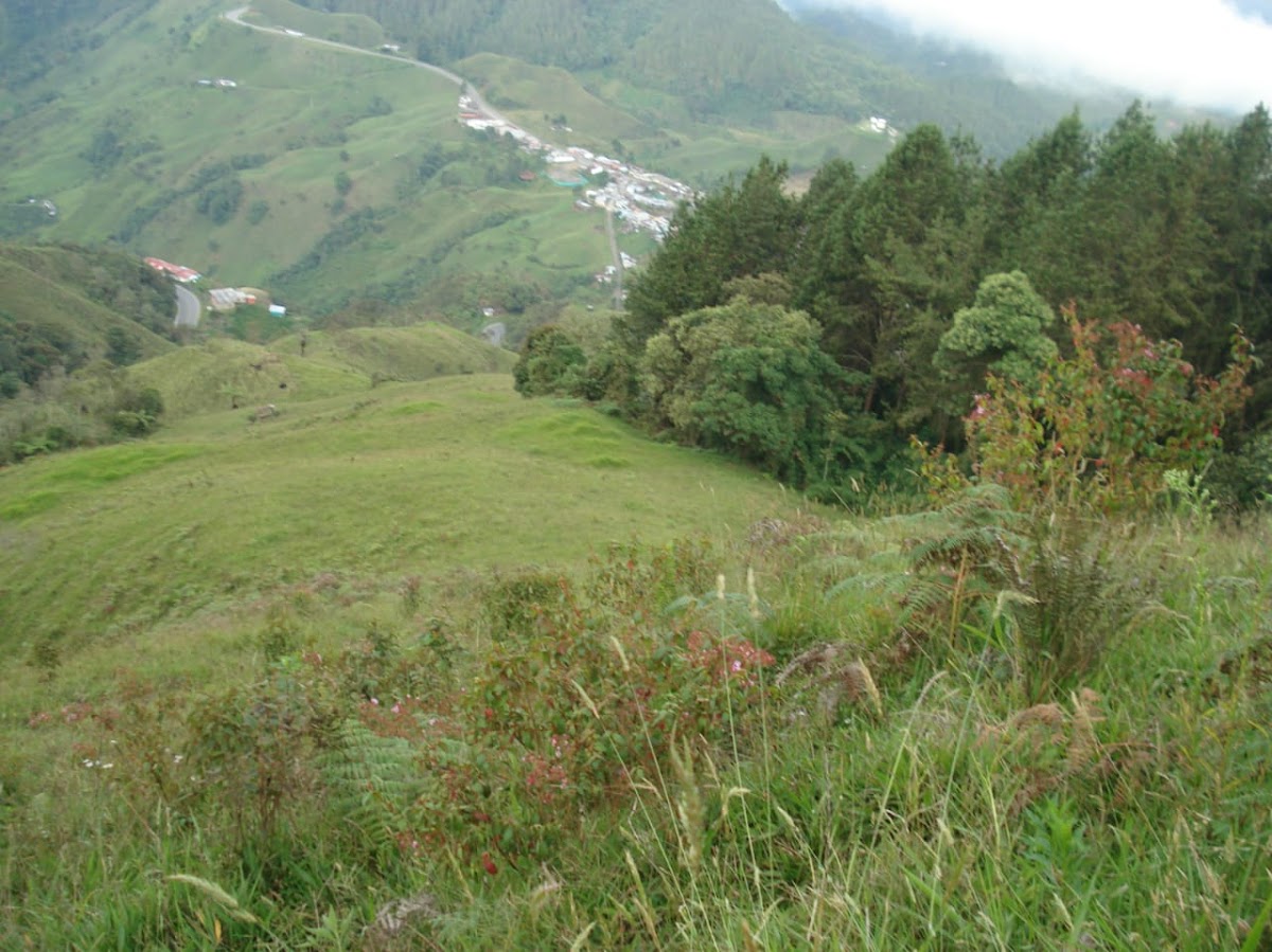 Foto de Finca en Venta en Padua, Libano - 3 - 279020339
