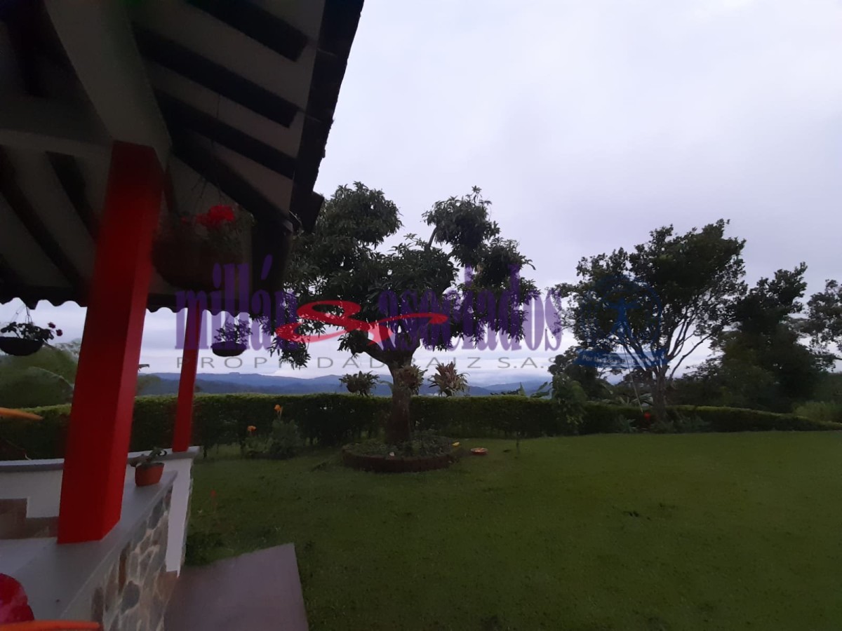 Foto de Finca en Venta en Alto de la mina, Chinchina - 8 - 51980