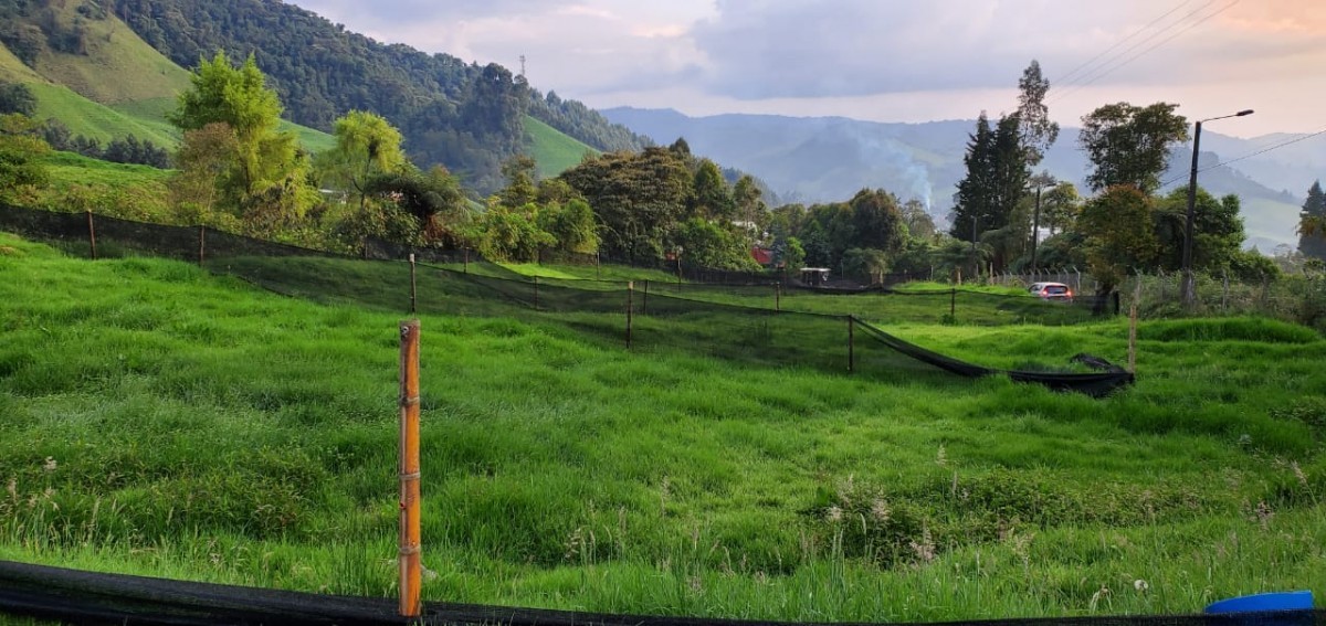 Foto de Lote / terreno en Venta en Malteria, Manizales - 1 - 279022994