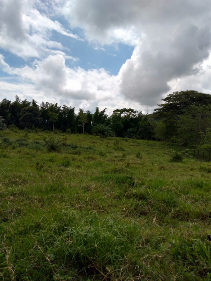 Foto de Lote / terreno en Venta en Vereda la libertad, Risaralda - 3 - 18529
