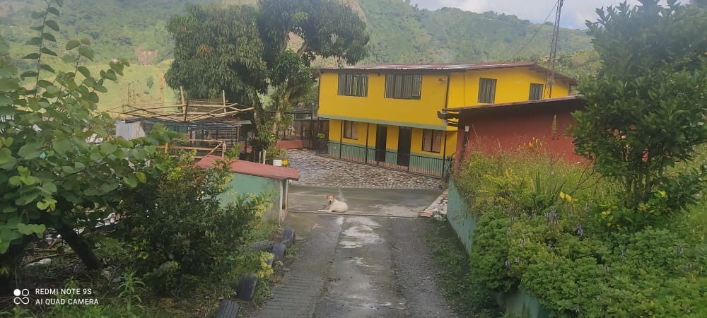 Foto de Finca para Venta en Vereda el higueron, Neira - 24699