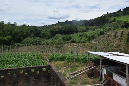 Foto de Finca en Venta en La cabaña, Manizales - 11 - 279024307