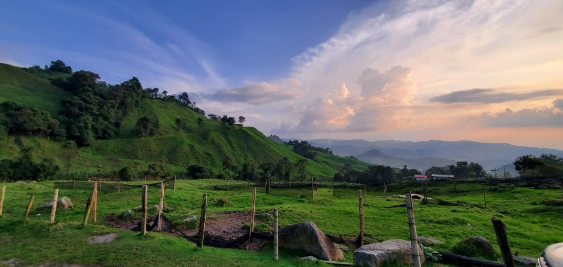 Foto de Lote / terreno para Venta en Malteria, Manizales - 279022994