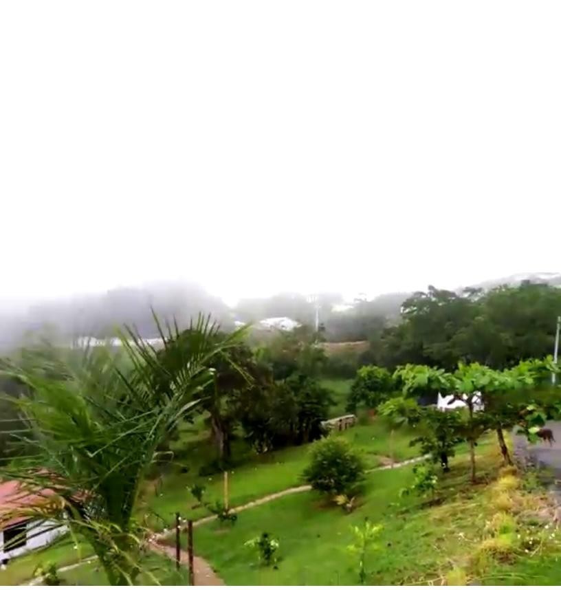 Foto de Finca en Venta en La cabaña, Manizales - 6 - 25118