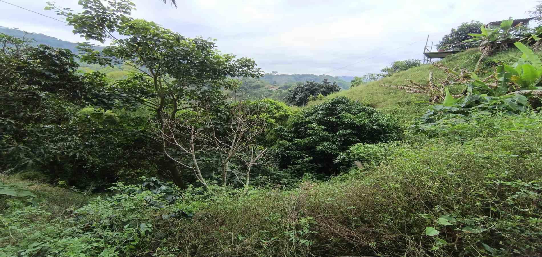 Foto de Lote / terreno en Venta en Vereda la trinidad, Manizales - 1 - 279066610