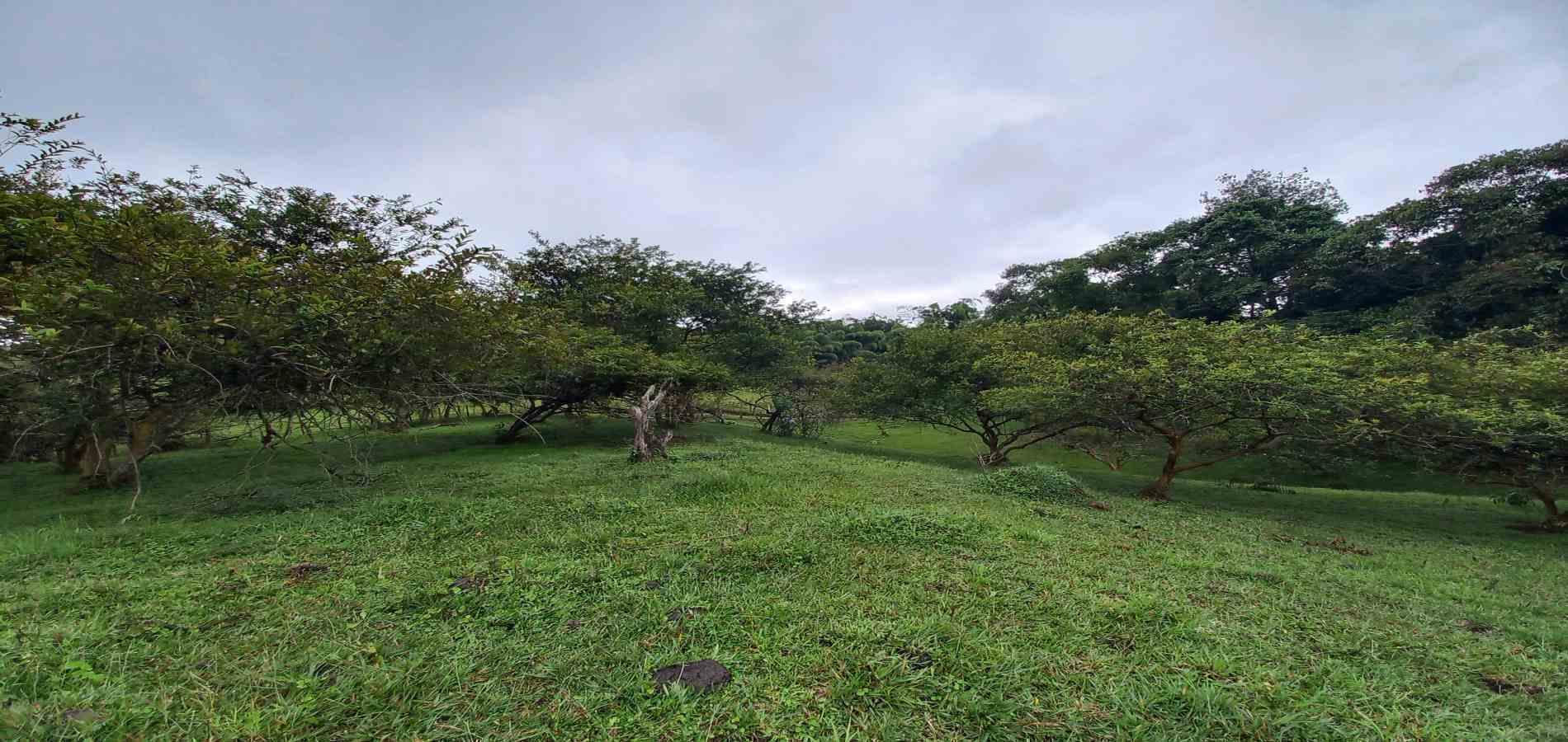 Foto de Lote / terreno en Venta en Veracruz, Santa rosa de cabal - 19 - 279066398