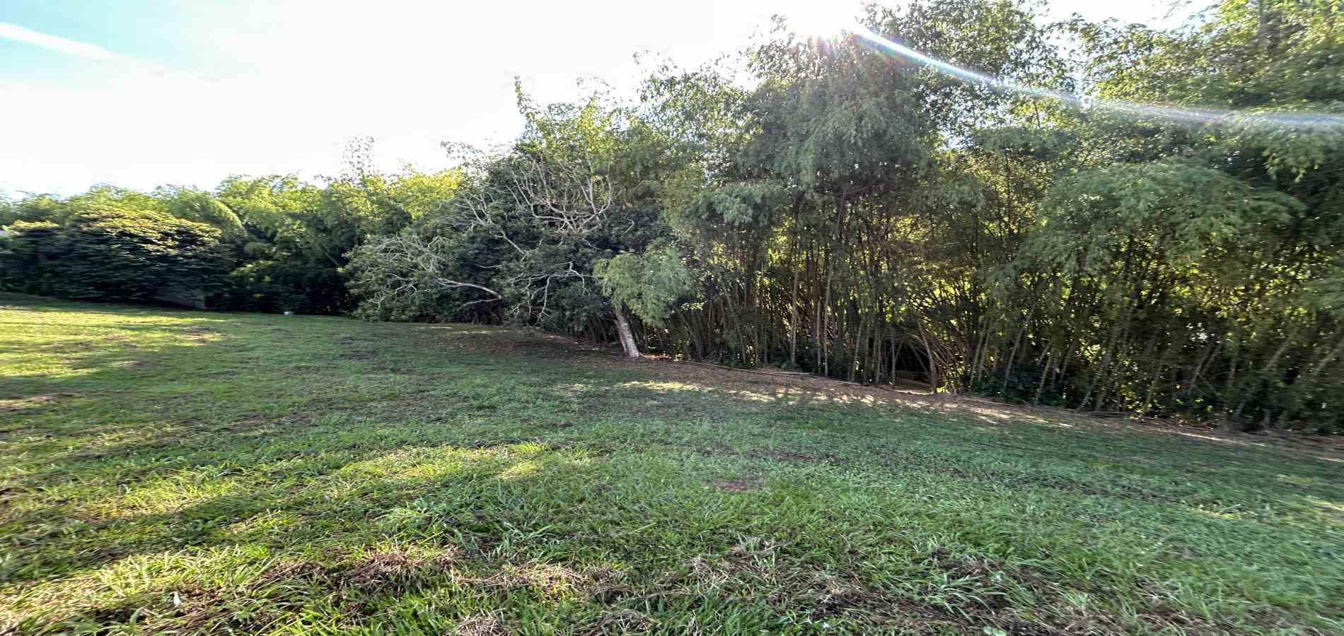Foto de Lote / terreno en Venta en Cerritos, Pereira - 4 - 279069202