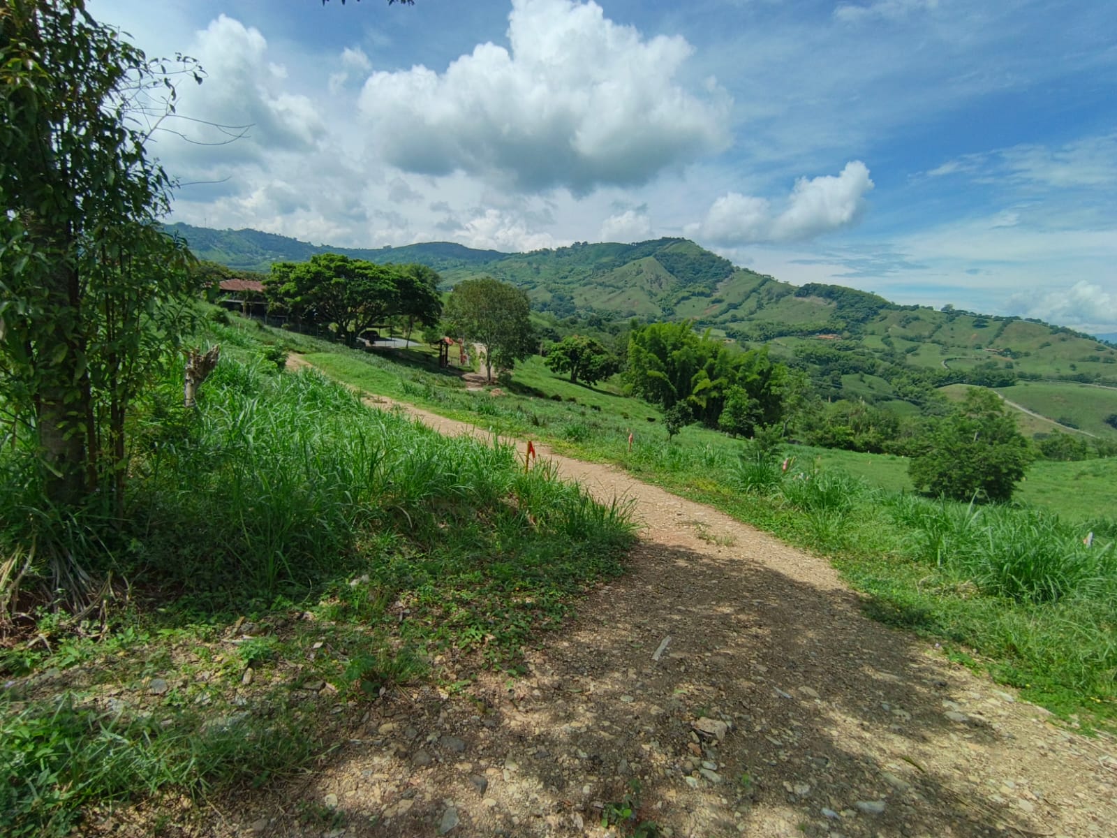 Foto de Lote / terreno en Venta en Vereda santagueda, Palestina - 8 - 279064499