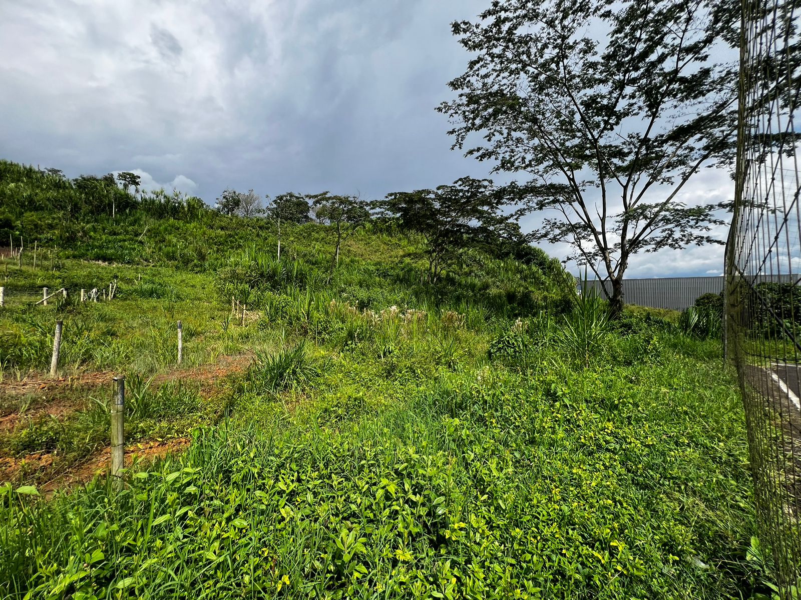 Foto de Lote / terreno en Venta en Bosques de la acuarela, Dosquebradas - 0 - 279057792