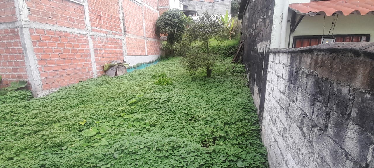 Foto de Lote / terreno en Venta en Urapanes, Villamaria - 3 - 53078