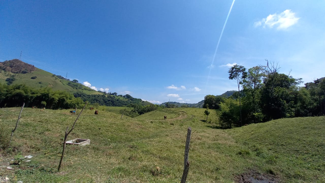 Foto de Lote / terreno en Venta en Vereda santagueda, Palestina - 12 - 279058796