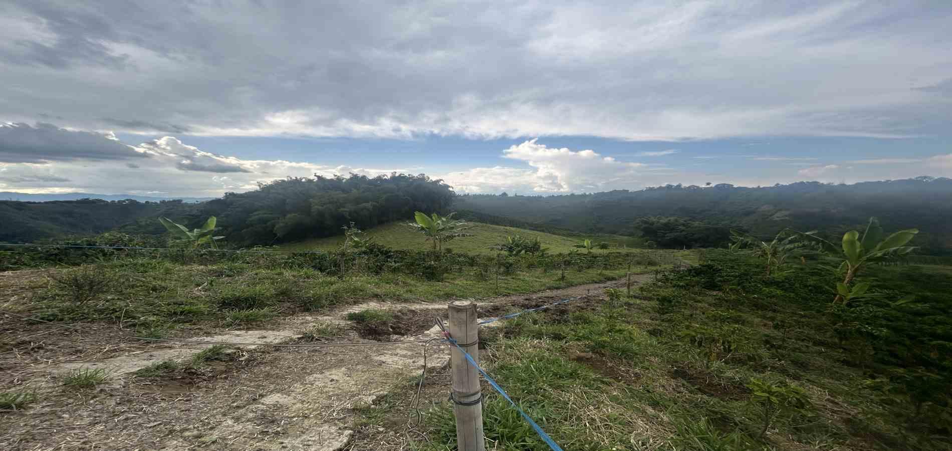 Foto de Finca en Venta en Vereda el placer, Pereira - 6 - 279066578