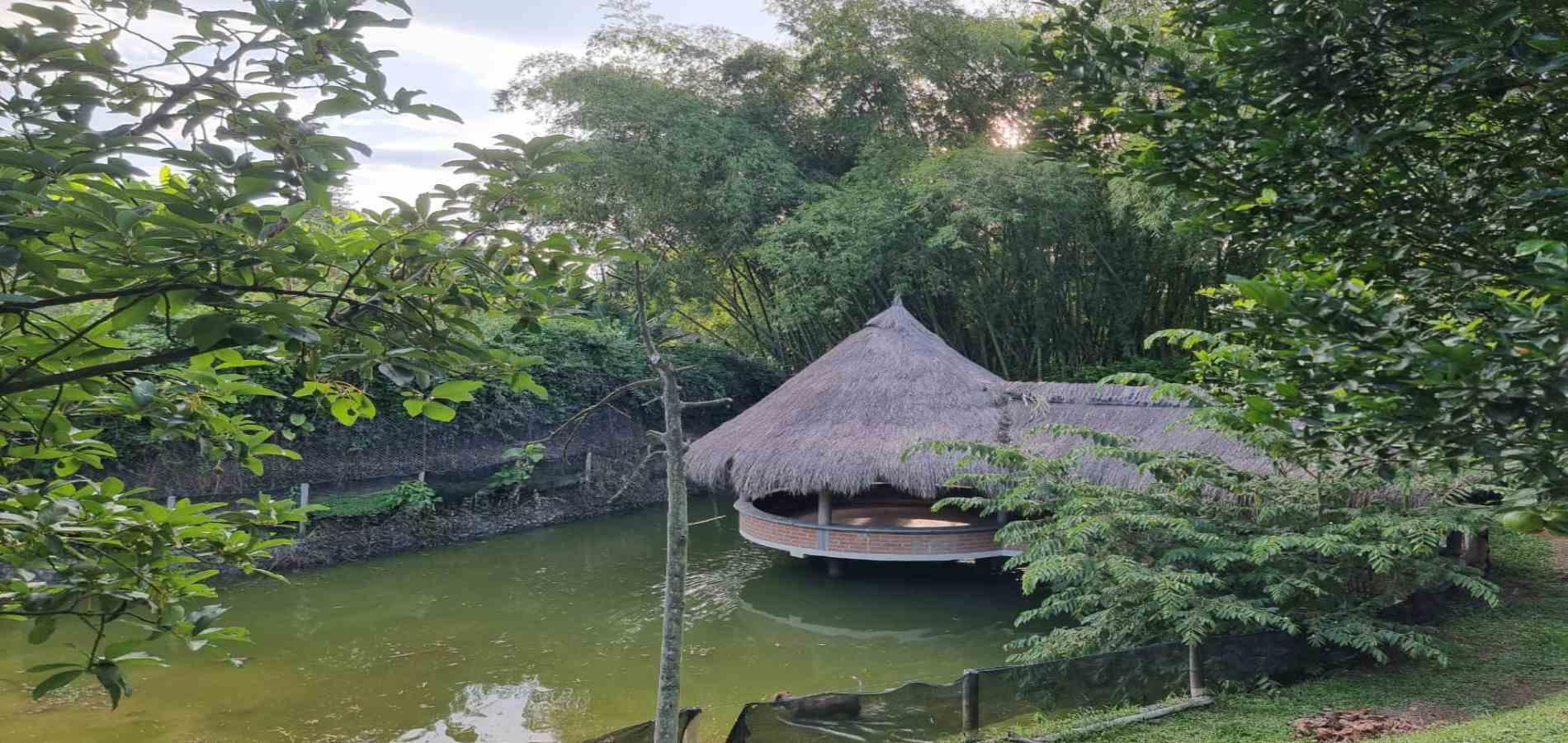 Foto de Casa campestre en Venta en Combia, Pereira - 12 - 279068280