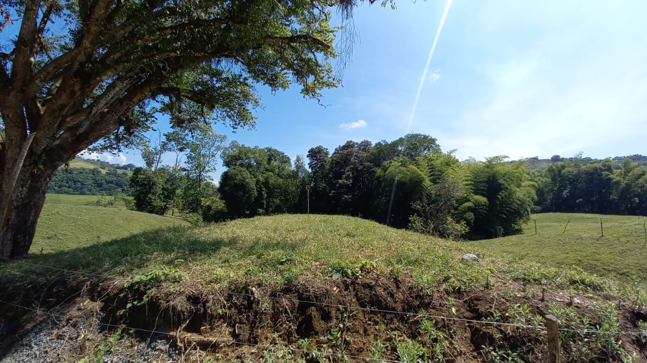 Foto de Lote / terreno en Venta en Vereda santagueda, Palestina - 15 - 279058796